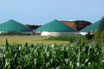Biogasanlage mit Maisfeld