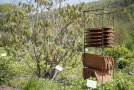Ein Eisengestell mit mehreren Dachsiegeln im Garten soll unterschlupf für Bienen bieten.