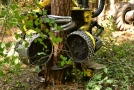 Baumstamm wird von einer Maschine mit Rollen und Kettensägenblatt umklammert