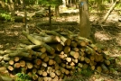 Brennholz aus Buche im Wald gestapelt