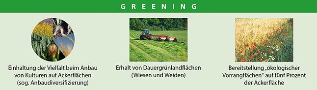 Das Greening umfasst im Kern drei Auflagen