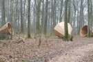 Kahler Wald mit Holzkonstruktionen am Boden