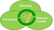 Grafik Bayerische Eiweißinitiative: Beratung, Forschung, Wissenstransfer