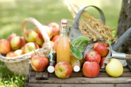 Korb mit Äpfeln steht in einer Wiese. Auf einer Kiste liegen weitere Äpfel und Apfelsaftflaschen.