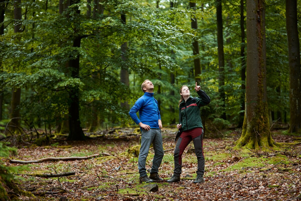 Försterin und Waldbesitzer schauen nach oben in die Baumkronen im Wald