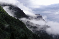 Nebel hängt im Bergwald (© Boris Mittermeier)