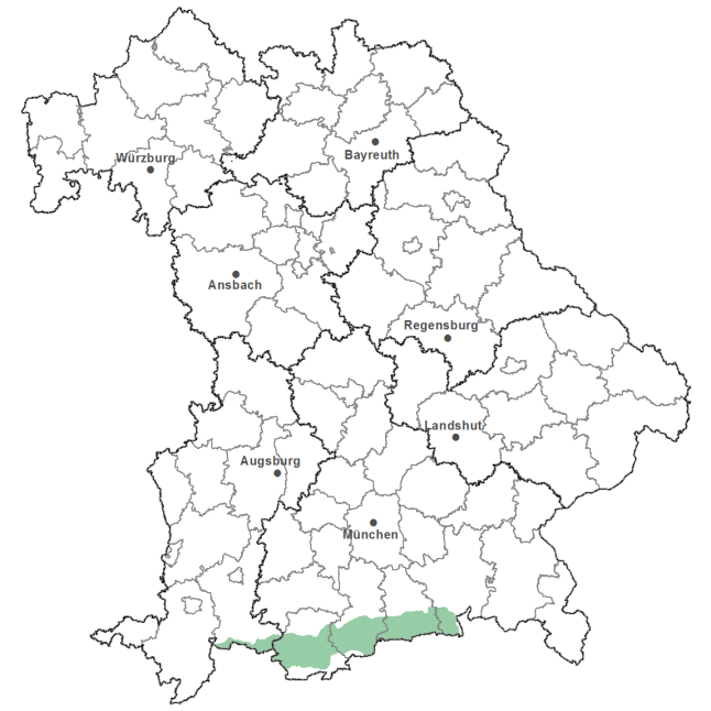 Die Karte zeigt das Bundesland Bayern. Zusätzlich sind die Grenzen der bayerischen Regierungsbezirke zu erkennen. Die ausgewählte Region ist als grüner Flächenumriss gekennzeichnet. Die Region Mittlere Bayerische Kalkalpen liegt im Süden von Bayern.