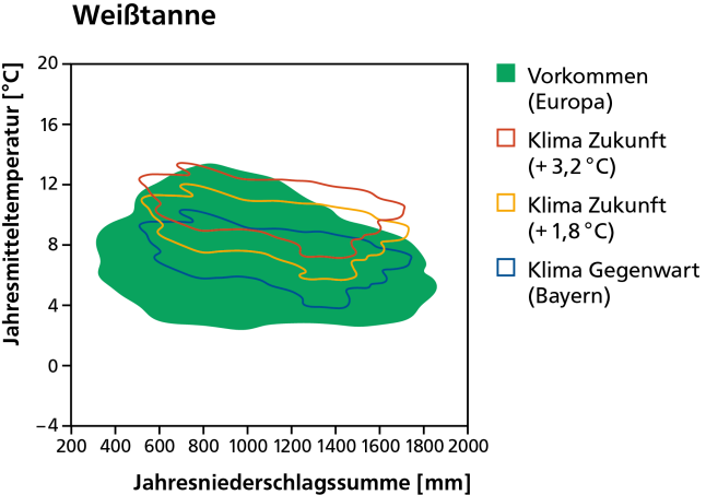 Vorkommen der Weißtanne heute als dunkelgrüne Fläche und mit dem Klima von heute und in der Zukunft bei wahlweise 1,8 und 3,2 Grad Erwärmung schematisch dargestellt.