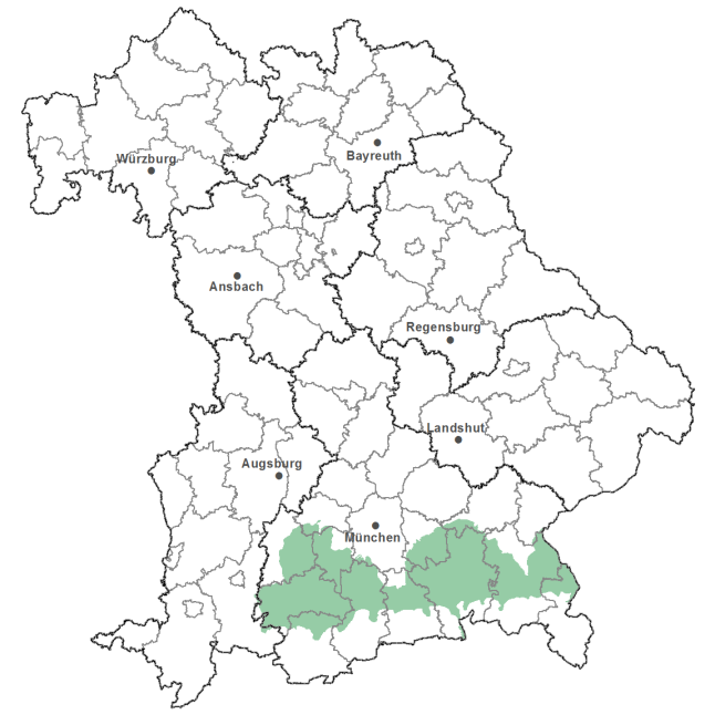Die Karte zeigt das Bundesland Bayern. Zusätzlich sind die Grenzen der bayerischen Regierungsbezirke zu erkennen. Die ausgewählte Region ist als grüner Flächenumriss gekennzeichnet. Die Region Oberbayerische Jungmoräne und Molassevorberge liegt in Oberbayern vor der Erhebung der Alpen.