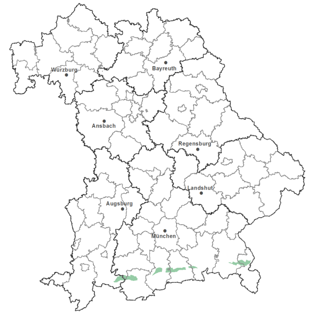 Die Karte zeigt das Bundesland Bayern. Zusätzlich sind die Grenzen der bayerischen Regierungsbezirke zu erkennen. Die ausgewählte Region ist als grüner Flächenumriss gekennzeichnet. Die Region Oberbayerische Flysch-Voralpen liegt im Süden von Bayern als erste Erhebung vor den Alpen.