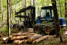 Forstspezialmaschine mit Greifarm und Metallkorb zum Holztransport