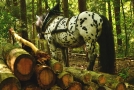 Pferd mit speziellem Geschirr für die Waldarbeit neben einem Holzpolter