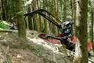 Forstspezialmaschine mit Kettenlaufwerken und Greifarm fährt einen Berghang hoch