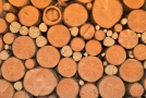 Gestapelte Holzstücke
