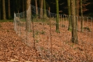Zaun aus Draht und Metallstäben im Wald