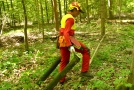 Waldarbeiter zieht zwei Buchenholzstücke durch den Wald