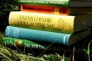 Verschiedene Bücher zum Thema Wald liegen auf einer Wiese