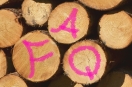 Holzstapel mit aufgesprühten Schriftzug 