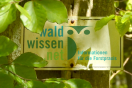 Baumstamm mit angenagelten Hinweisschild. Aufschrift: waldwissen.net