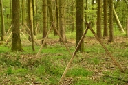 Zaun aus Drahtgeflecht im Wald, gestützt durch gekreuzte Latten