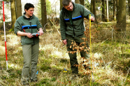 Eine Försterin und ein Förster vermessen und begutachten junge Bäume im Wald