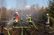 Feuerwehrmänner löschen einen Waldbrand