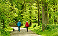 Zwei Wanderer mit Hund auf einem Waldweg