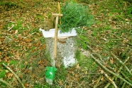 Auf einem Baumstumpf steht ein Träger mit Tannenpflanzen, davor ein Hohlspaten