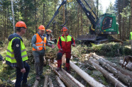 Forstminister Helmut Brunner im Wald mit zwei Waldarbeitern und einem Harvester (Maschine zum Fällen und Entasten von Bäumen) zwischen gefällten Bäumen.