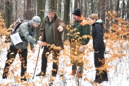 Vier Personen begutachten junge Buchenpflanzen im winterlichen Wald