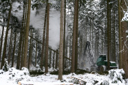 Harvester (Spezielle Forstmaschine zur Holzernte) bei der Arbeit im Wald im Winter 