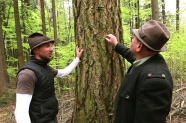Zwei Generationen von Waldbesitzern betrachten einen Baum