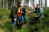 Vier Personen diskutieren und vermessen in einem Waldbestand junge Fichten