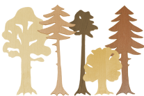 Verschiedene aus Holz gefertige Baumprofile