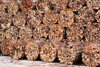 Gespaltenes und gebündeltes Holz ist zu einem Stapel aufgeschichtet (Foto: StMELF)