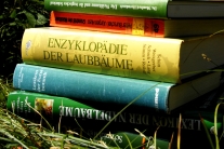 Verschiedene Bücher zum Thema Wald liegen auf einer Wiese (Foto: T. Bosch)