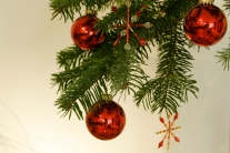 Zweig einer Tanne weihnachtlich geschmückt (Foto: C. Hopf)