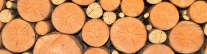 Gestapeltes Holz (Foto: J. Böhm)