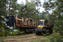 Spezialfahrzeug zum Holztransport verlädt Holzstämme auf einen Tieflader (Foto: M. Dög)