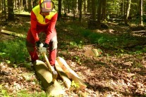Waldarbeiter spaltet Holzstücke im Wald (Foto: J. Böhm)
