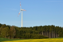 Windkraftanlage im Wald (Foto: Jan Böhm)