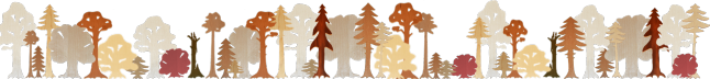 Schematisches Bild eines naturnahen Waldes aus verschiedenen Laub- und Nadelbäumen