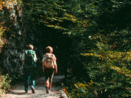 Wanderer im Nationalpark Berchtesgaden (Foto: LWF)