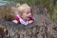 Kleines Mädchen hockt in vermoderndem Baumstumpf
