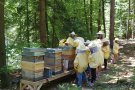 Kinder in Schutzanzügen versorgen Bienenstöcke im Wald (Foto: LearningCampus gGmbH)