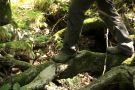 Beine einer Person, die mit Trekkingkleidung bekleidet über morschen Stamm im Wald läuft