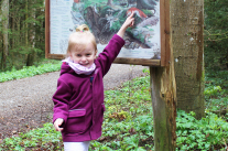 Kleines Mädchen deutet auf Schautafel im Wald.