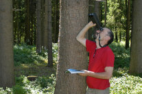 Mann mit Fernglas blickt in die Baumkronen (© Gößwein, LWF)