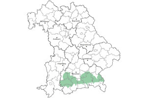 Die Karte zeigt das Bundesland Bayern. Zusätzlich sind die Grenzen der bayerischen Regierungsbezirke zu erkennen. Die ausgewählte Region ist als grüner Flächenumriss gekennzeichnet. Die Region Oberbayerische Jungmoräne und Molassevorberge liegt in Oberbayern vor der Erhebung der Alpen.