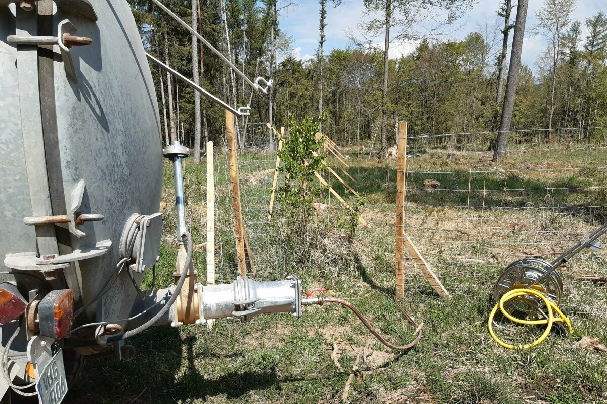Traktor mit Weidefass wässert eine Forstkultur im Wald